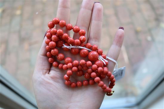 A single strand graduated coral bead necklace, with yellow metal clasp, gross weight 53 grams, 64cm.